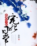 逆袭皇子的宠妃日常