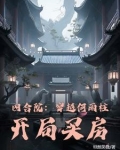 四合院穿越何雨柱开局买房