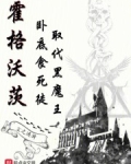 霍格沃茨：卧底食死徒取代黑魔王