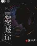 悬案歧途