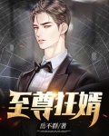 至尊狂婿漫画