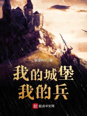 我的城堡我的兵