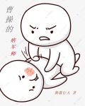 曹操的痞军师百度百科