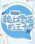网王之源赖雅