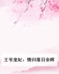 王爷宠妃：情归落日余晖
