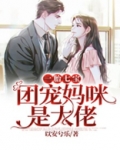 一胎七宝:团宠妈咪是大佬 以安兮乐