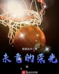 jie未的荣耀全文阅读