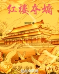 红楼王氏嫡女