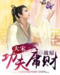 大宋功夫庸财是谁