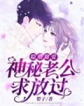 隐婚甜爱:神秘老公求放过免费阅读