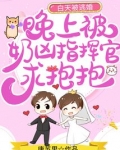 白天被逃婚晚上被奶凶指挥官求抱抱漫画有没有小说