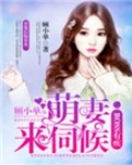 boss的小萌妻 小说