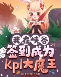 我在峡谷签到 小说