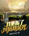 我重振了对抗路荣光txt