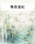尊贵小说免费阅读