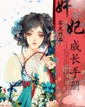 奸妃成长手册