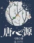 唐心源个人简历