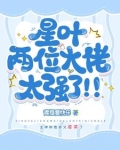 星叶两位大佬太强了小说