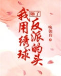 我用绣球砸了反派的头