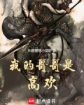 我的哥哥是高欢笔趣阁
