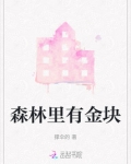 森林之子金块代码
