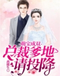 萌宝成双：总裁爹地请投降
