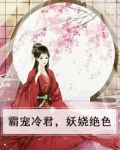 霸宠冷君,妖娆绝色