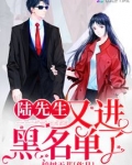 陆先生又进黑名单了 第599章