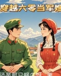 穿越六零当军嫂的小说