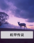 机甲传说芯片自选箱选哪个部位