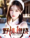燃烧的野草小说