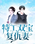 特工双宝复仇妻