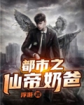 都市之仙帝奶爸小说