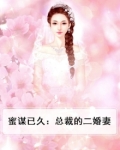 一宠二婚总裁的蜜恋情人