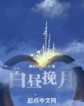 白昼挽月