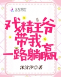 戏精王妃拐个王爷做夫君小说