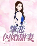 小说挚恋闪婚总裁欢