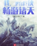 我卫宫巨侠畅游诸天下载