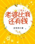 老婆比我还有钱重生作者沈观雨