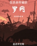 在庆余年编织罗网