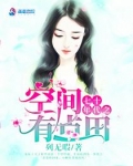 七十年代之空间有点田