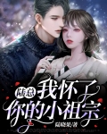 陆总,我怀了你的小祖宗