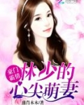 豪门霸情：林少的心尖萌妻
