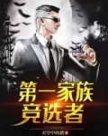 第一家族竞选者 小说