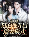 离婚后,陆总他开启追妻模式
