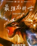 神印之最强龙骑士