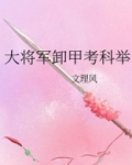 大将军卸甲考科举文理
