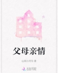 父母爱情原著小说