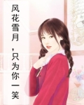 只想风花雪月