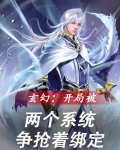 玄幻:开局被两个系统争抢着绑定 玄机百莫